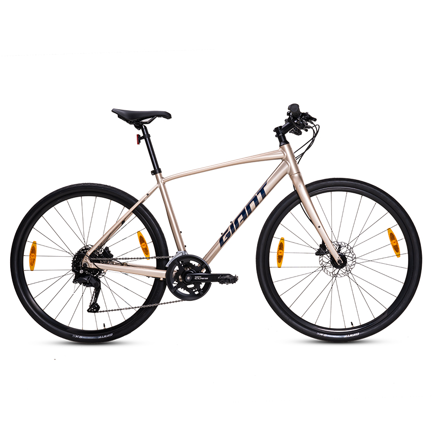 xe đạp nữ cho nghệ sĩ